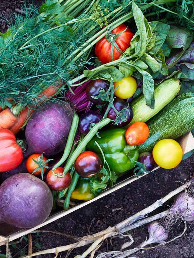 10 Vegetables to Grow in Your Kitchen Garden
