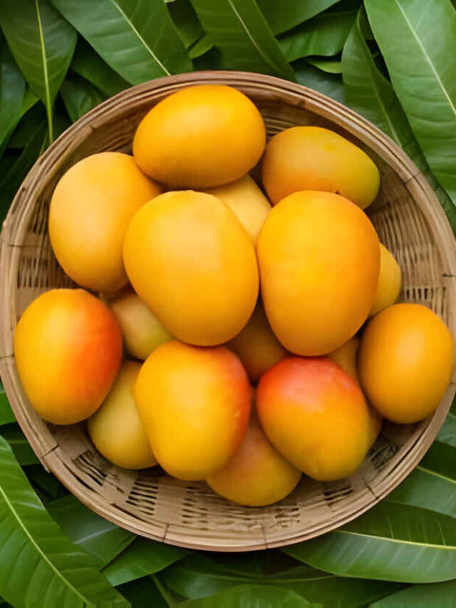 6 Health Benefits of Mangoes